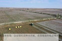 土地流转变局：企业毁约改种光伏板，农民每亩年租金缩水至200元